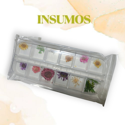 Caja flores prensadas