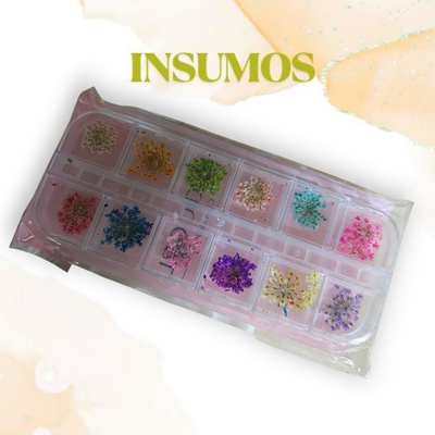 Caja flores prensadas