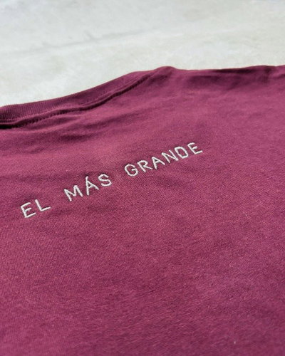 REMERA ESCUDO