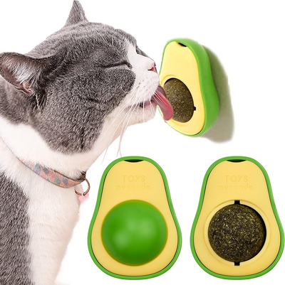 CATNIP HIERVA GATERA FORMA DE PALTA