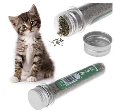 TUBO DE CATNIP HIERVA GATERA