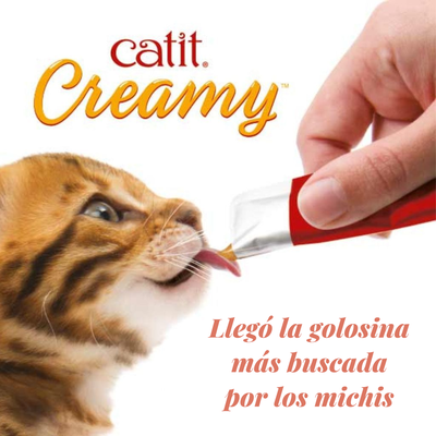 Creamy Snack cremoso Catit