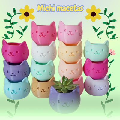 Michi macetas 