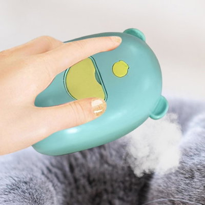 CEPILLO DE VAPOR QUITA PELO