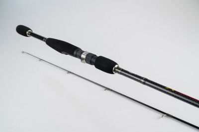 Lubina 1.68 mts