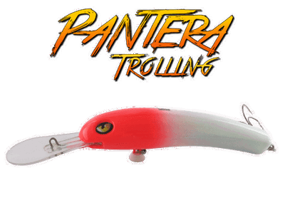 Pantera Trolling
