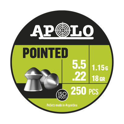 Pointed 5.5 lata x250