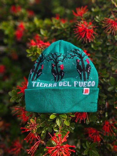 GORRO SUR Carpintero Verde