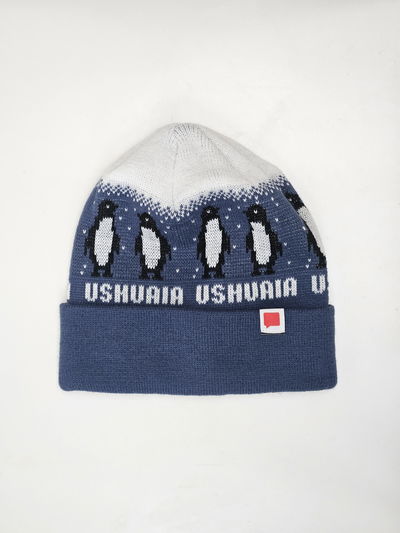 GORRO SUR Pinguinos/azul océano 