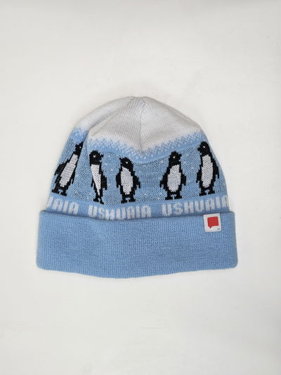 GORRO SUR Pinguinos/celeste