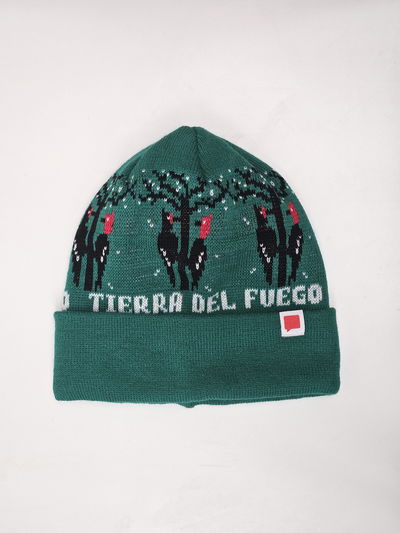 GORRO SUR Carpintero Verde