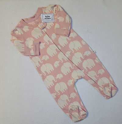 🐻✨ Enterito – GAP 