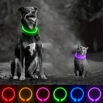Collar Mascotas Led Luminoso USB Recargable Tendencia