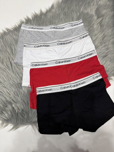 Boxer dama