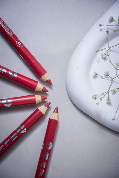 Delineadores de Labios Karité