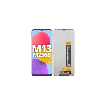 Modulo Samsung M13 / A13 4G
