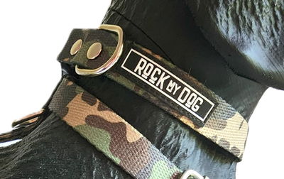 Collar Perro Talle Small Razas Minis Pequeñas Regulable