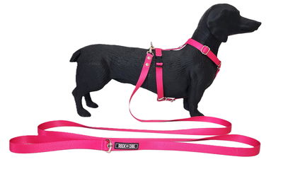 Kit Paseo Talle Small Pretal + Correa + Collar