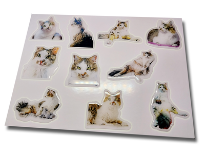 Stickers resinados tu mascota