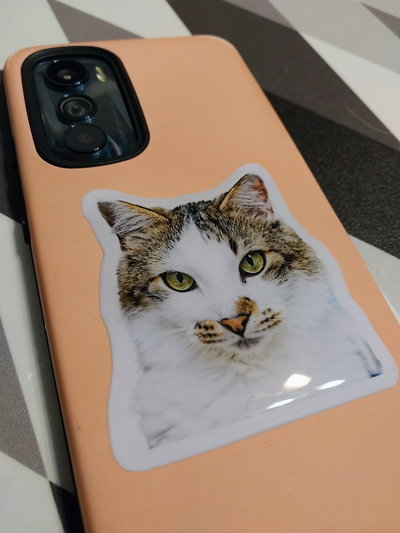 Stickers resinados tu mascota