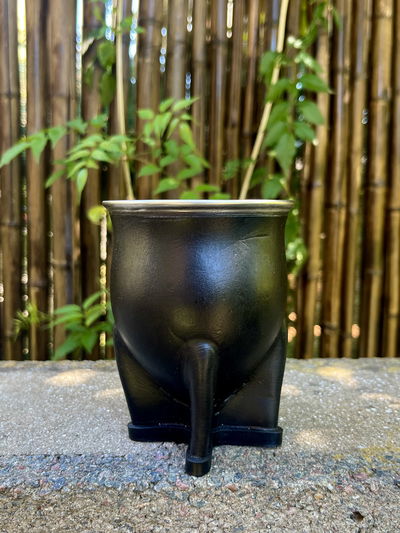 MATE CAMIONERO DE CALABAZA CLÁSICO