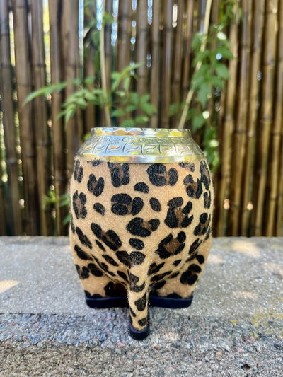 TORPEDO ANIMAL PRINT