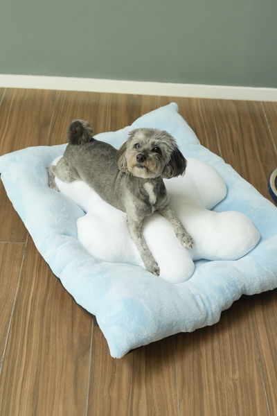 PETS Camita Nube