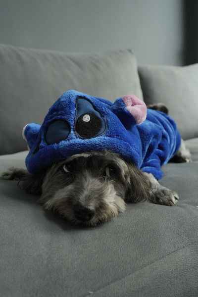 PETS Ropita Canguro Stitch