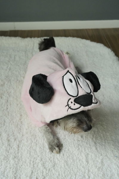 PETS Ropita Canguro Coraje