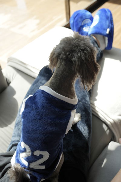 PETS Ropita Musculosa GELP (22)