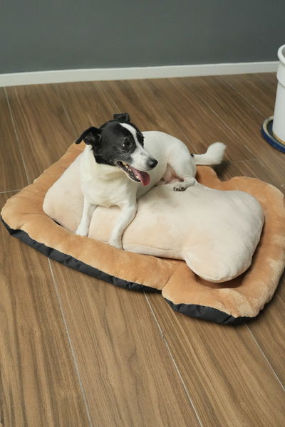 PETS Camita Tostada