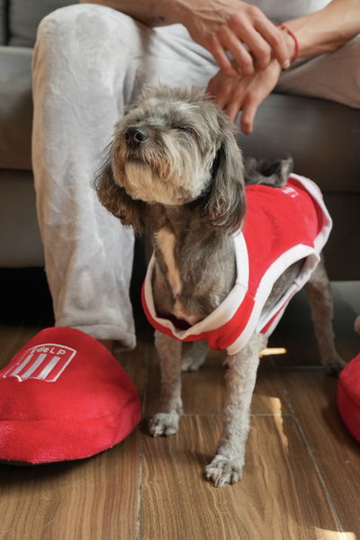 PETS Ropita Musculosa EDLP