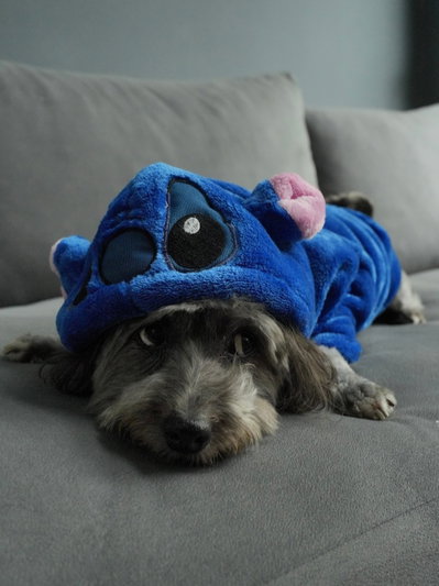 PETS Ropita Canguro Stitch