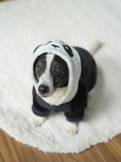 PETS Ropita Canguro Panda
