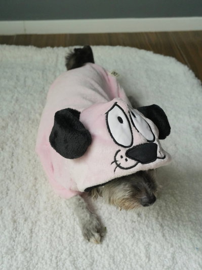 PETS Ropita Canguro Coraje