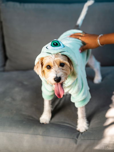 PETS Ropita Canguro Monster Inc