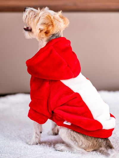 PETS Ropita Canguro EDLP