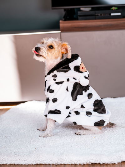 PETS Ropita Canguro Vaquita