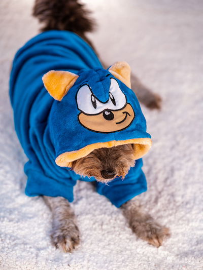 PETS Ropita Canguro Sonic