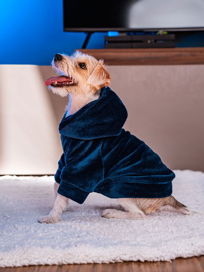 PETS Ropita Canguro Liso