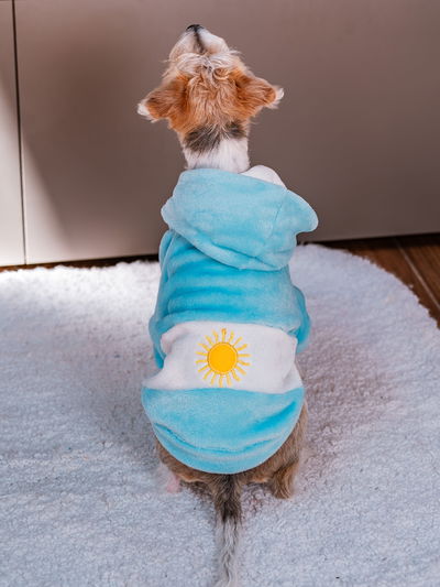 PETS Ropita Canguro Argentina