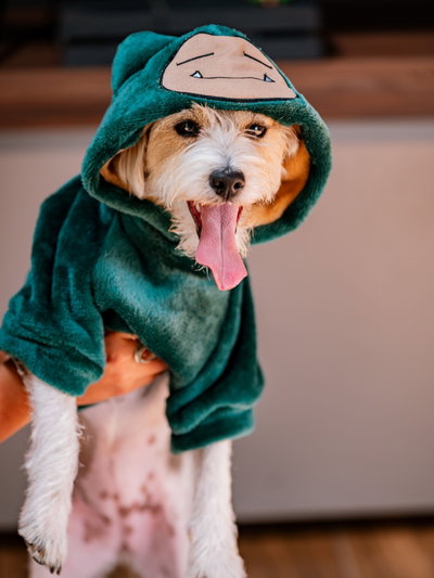 PETS Ropita Canguro Snorlax