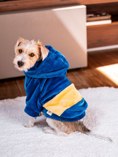 PETS Ropita Canguro Boca