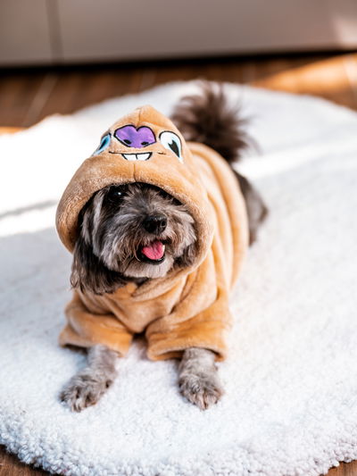 PETS Ropita Canguro Sid