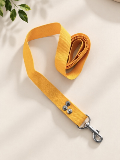 PETS Correa Amarilla