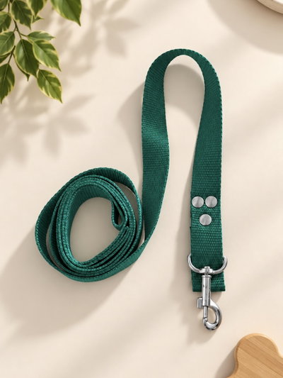 PETS Correa Verde