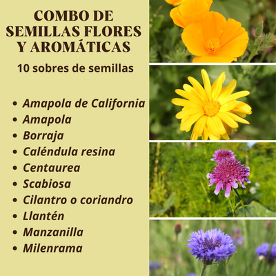 Combo de semillas FLORES Y AROMÁTICAS DE OTOÑO/INVIERNO