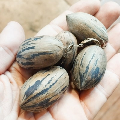 Nuez de pecán