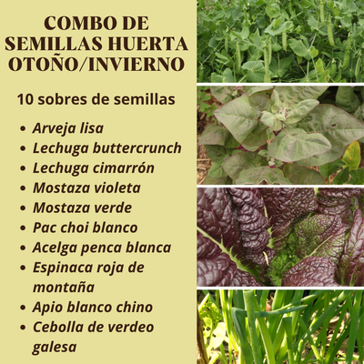 Combo de semillas HUERTA DE OTOÑO/INVIERNO
