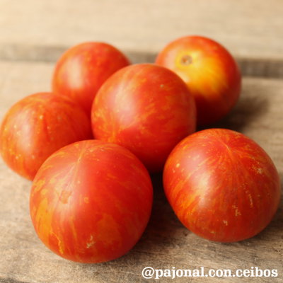 Tomate tigerella